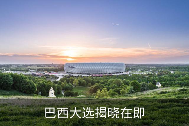 巴西大选揭晓在即